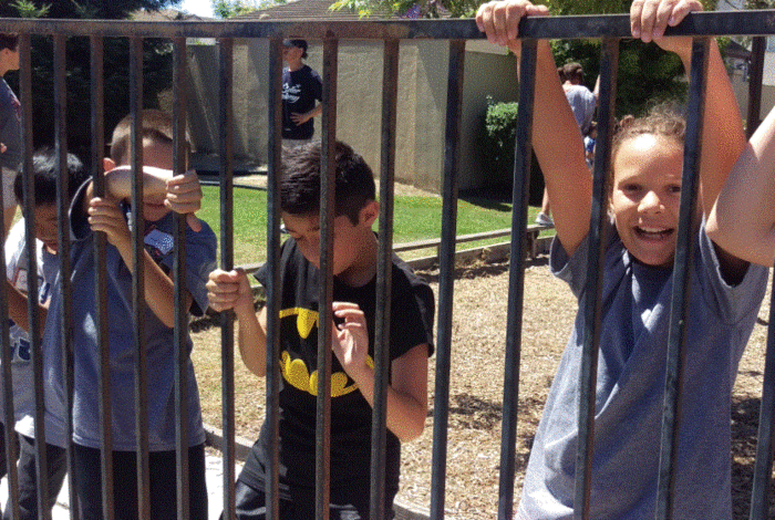 Stellar Academy for Dyslexics - camps in Newark, CA