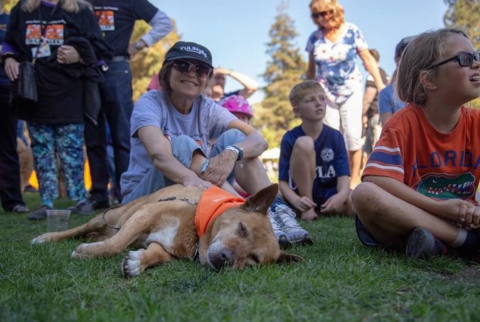 Humane Society of Silicon Valley - camps in Milpitas, CA
