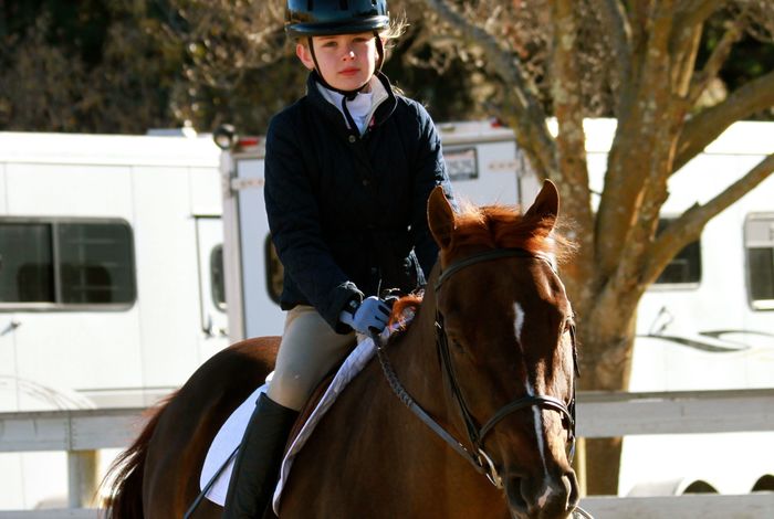 Northpeak Riding Academy - camps in Walnut Creek, CA