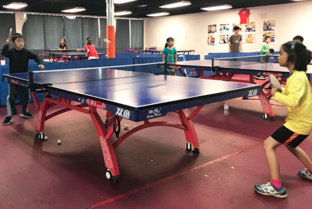 Superspin Table Tennis Club - Kids activities in Milpitas, CA