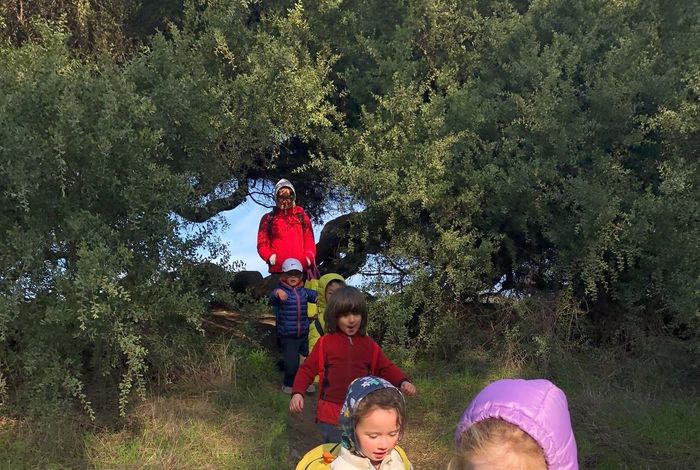 Always Learning and Growing - camps and classes in Berkeley, El Cerrito, San Francisco
