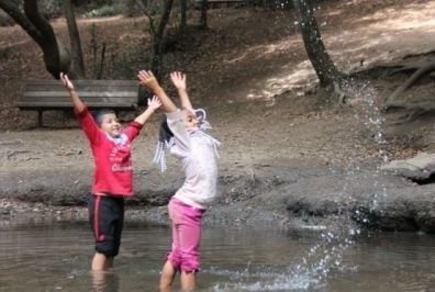 Terra Camps - camps and classes in San Francisco, Mill Valley