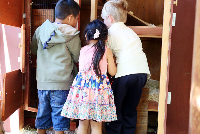 Terra Camps - camps and classes in San Francisco, Mill Valley