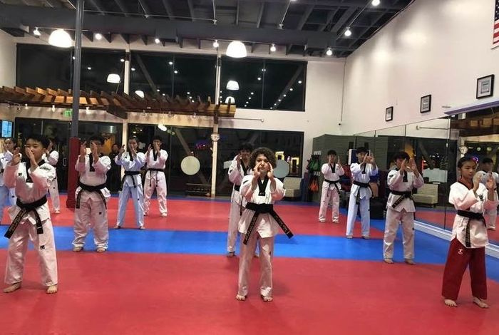 TaeKwon Tigers Palo Alto - camps in Palo Alto, CA
