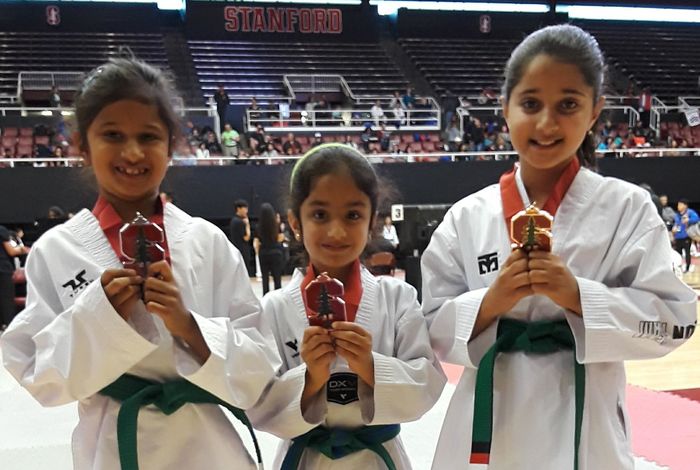 TaeKwon Tigers Palo Alto - camps in Palo Alto, CA