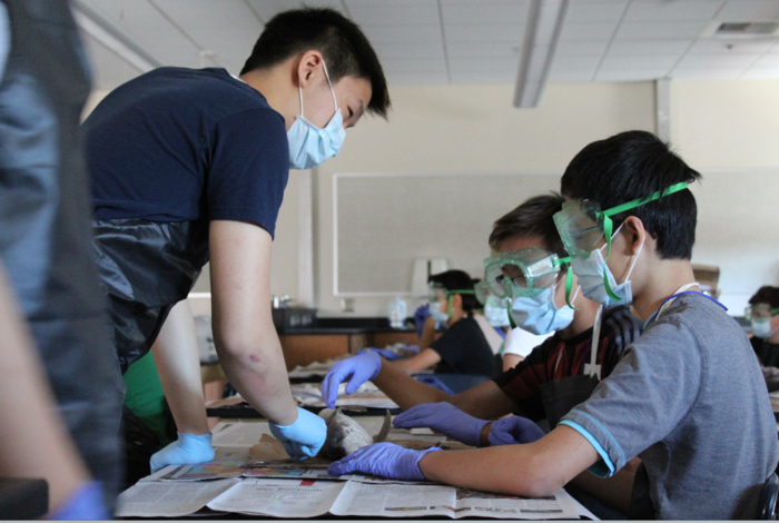 Palo Alto Science Olympiad - camps in Palo Alto, CA