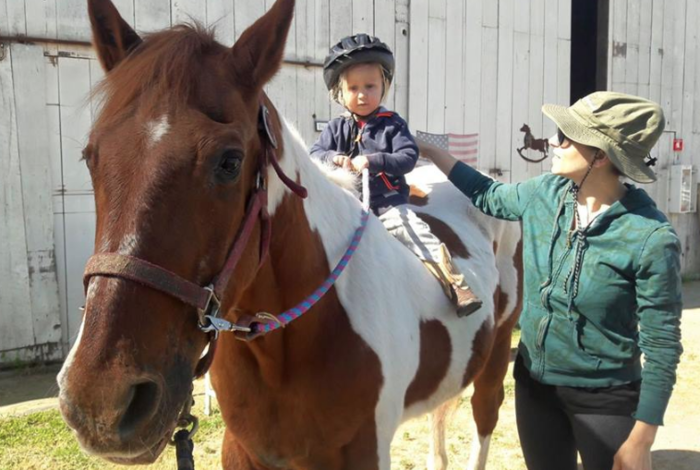 Double Hearts Riding & Rescue - camps in Livermore, CA