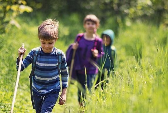 Terra Camps - camps and classes in San Francisco, Mill Valley