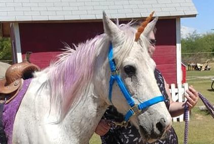 Charming Pony Parties - camps and birthday parties in Gilbert, AZ