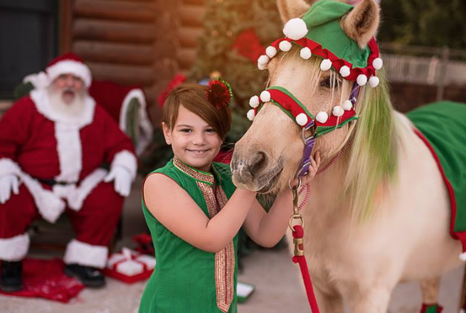 Charming Pony Parties - camps and birthday parties in Gilbert, AZ