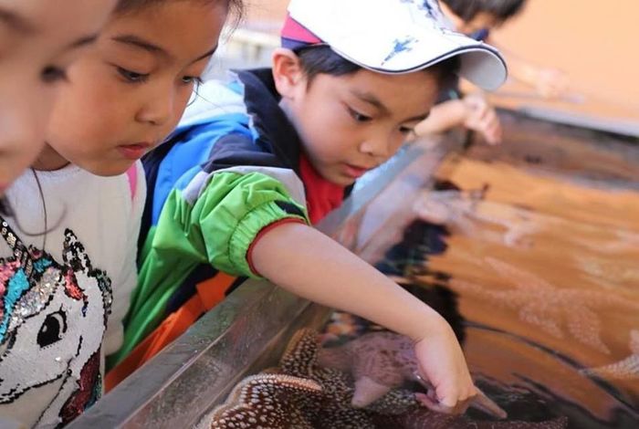 Growing Trees Chinese Academy - camps and classes in La Crescenta-Montrose, CA