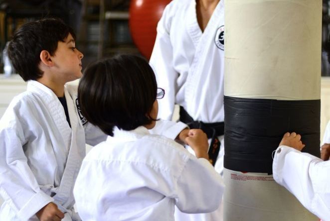 Shinsei-Dojo Tai Chi-Karate-Self Defense - Kids activities in Los Angeles, CA