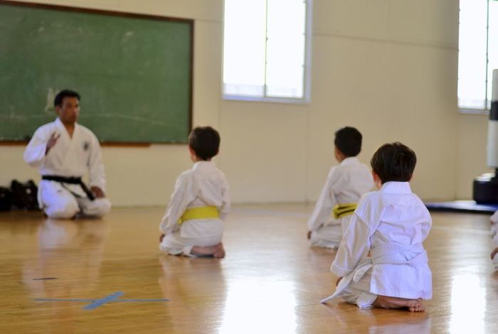 Shinsei-Dojo Tai Chi-Karate-Self Defense - Kids activities in Los Angeles, CA