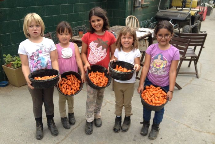 Sagebrook Farms - camps in Los Angeles, CA