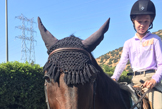Sagebrook Farms - camps in Los Angeles, CA