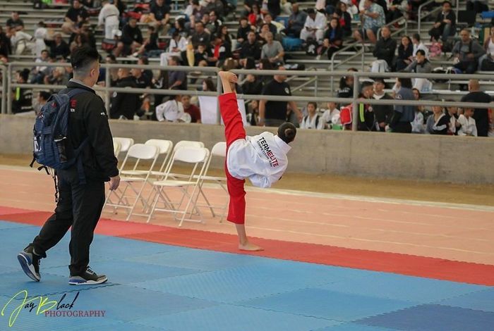 Elite Taekwondo Center - Kids activities in Los Angeles, CA