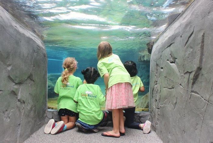 Leap & Bound Academy - Kids activities in Torrance, Redondo Beach