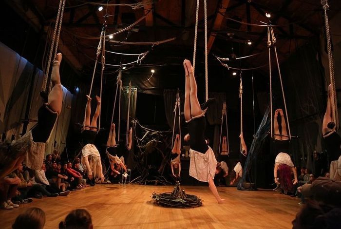 Canopy Studio - camps in Athens, GA