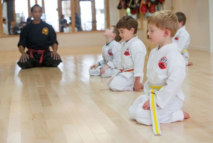 Mojo Dojo Karate - camps in Mill Valley, CA