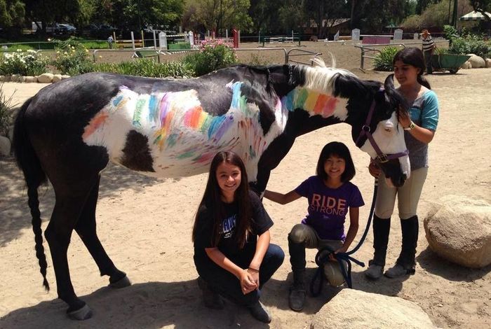 San Pascual Stables - camps in South Pasadena, CA