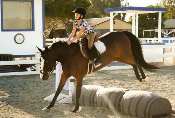  Sabo Eventing	 - camps in Costa Mesa, CA