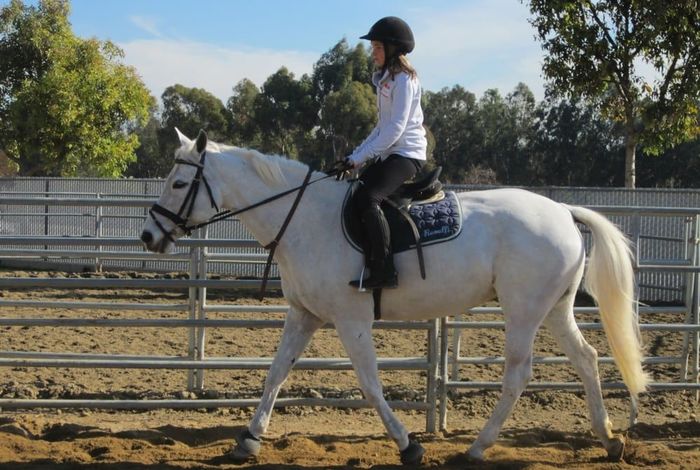  Sabo Eventing	 - camps in Costa Mesa, CA