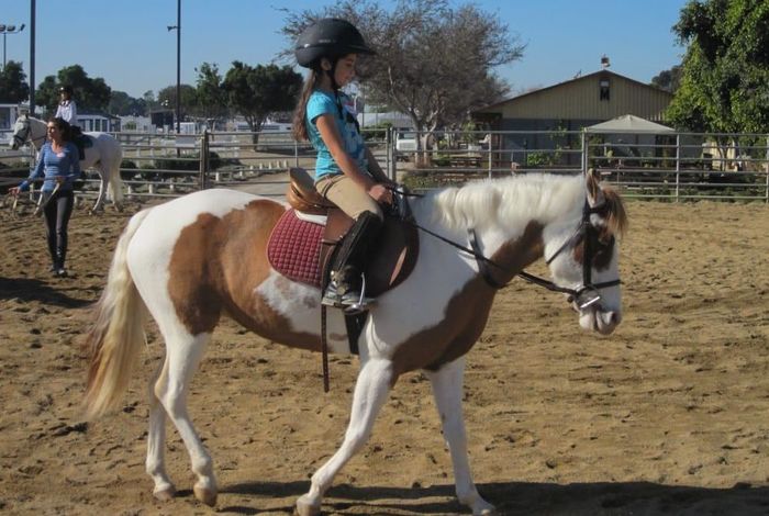  Sabo Eventing	 - camps in Costa Mesa, CA