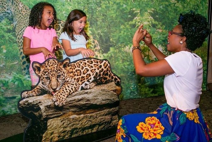 Big Birds Playhouse - camps and classes in Staten Island, NY