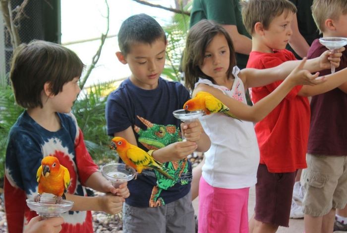 Big Birds Playhouse - camps and classes in Staten Island, NY