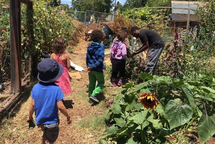 Abundant Beginnings		 		 - camps and classes in Berkeley, CA