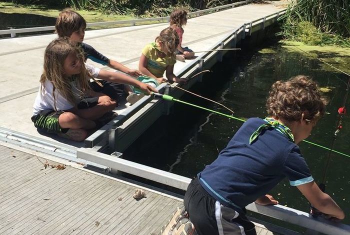 Abundant Beginnings		 		 - camps and classes in Berkeley, CA