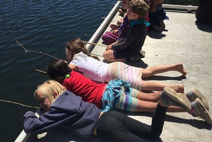 Abundant Beginnings		 		 - camps and classes in Berkeley, CA