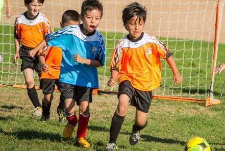 AYSO REGION 71 - camps in West Hills, CA