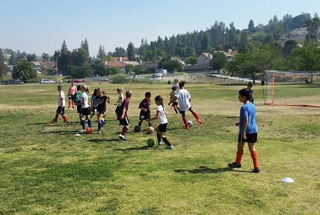 AYSO REGION 71 - camps in West Hills, CA