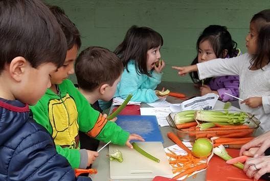 Daisy Child Development Center - Kids activities in Oakland, CA