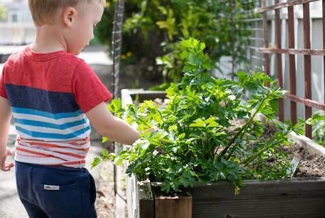 Kiddie Kampus Co-Op Nursery - Kids activities in Alameda, CA