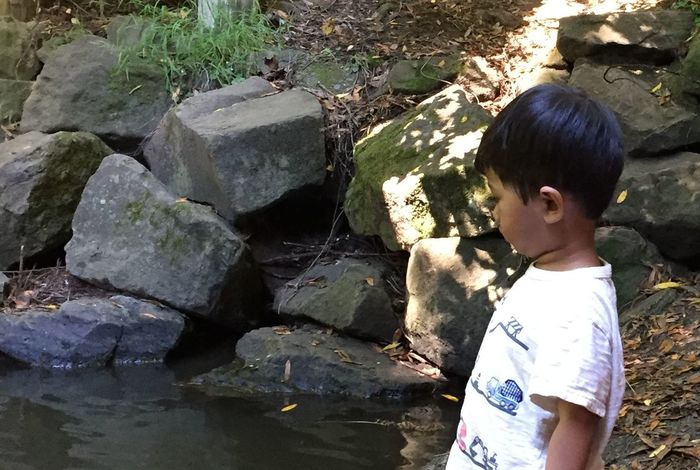 Terra Camps - camps and classes in San Francisco, Mill Valley