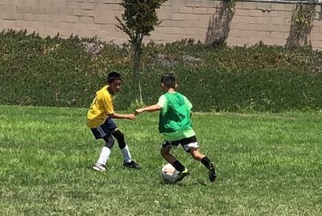 Paul Krumpe Soccer Academy - camps in Torrance, CA