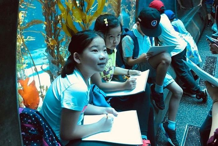 Ming Creative Studios & Art Academy - camps in Industry, CA