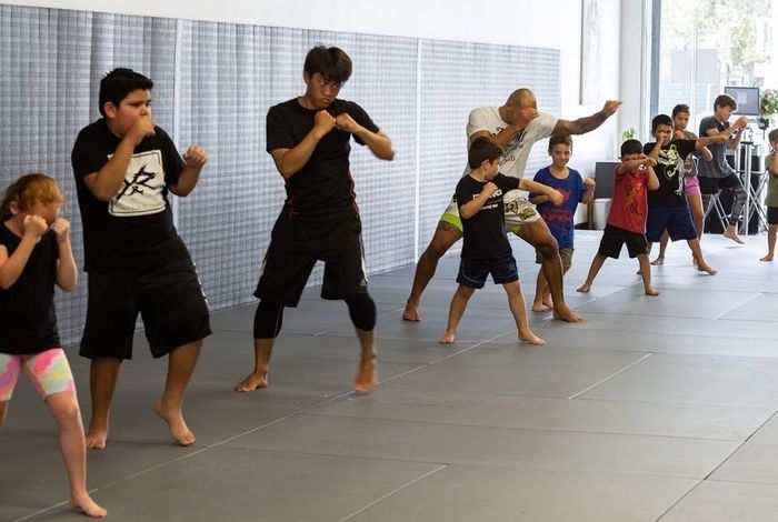 Triunfo Jiu Jitsu & MMA		 - Kids activities in Costa Mesa, CA