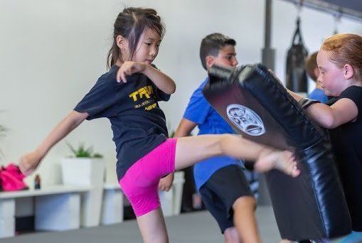 Triunfo Jiu Jitsu & MMA		 - Kids activities in Costa Mesa, CA