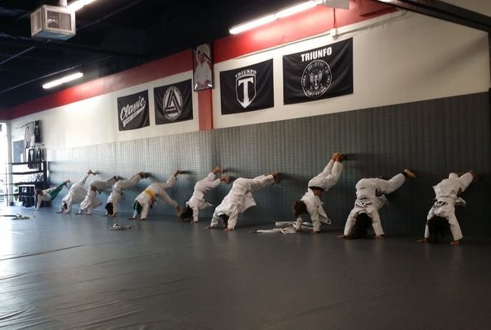 Triunfo Jiu Jitsu & MMA		 - Kids activities in Costa Mesa, CA