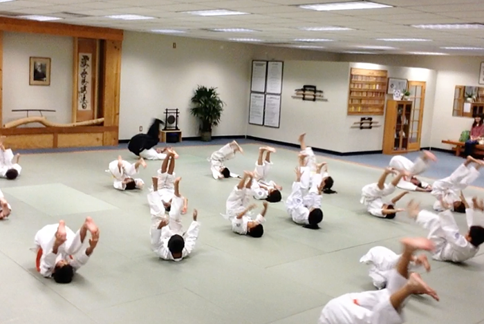 Aikido Academy Thousand Oaks - Kids activities in Agoura Hills, CA