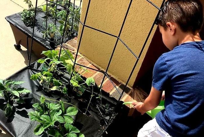 Verbose Language Learning Center - camps in Wichita