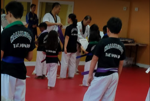 Hallelujah Tae Kwon Do - Kids activities in Cypress, CA