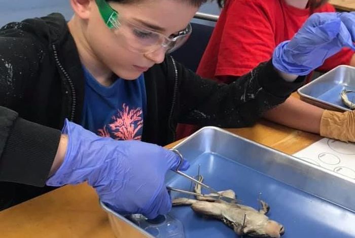 Edboost Learning Center - camps in Los Angeles, CA