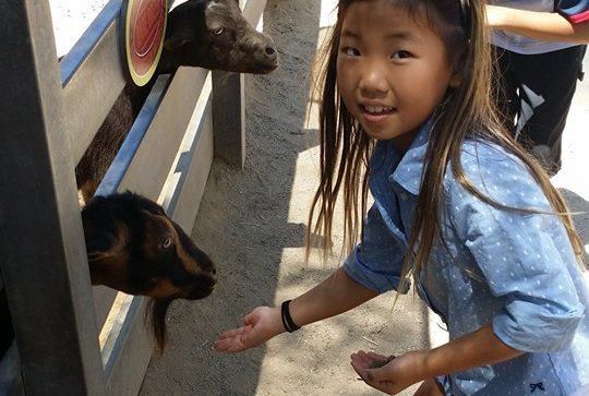 Learning Tree After School - camps and classes in Yorba Linda, CA