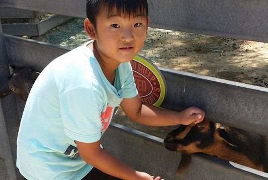 Learning Tree After School - camps and classes in Yorba Linda, CA