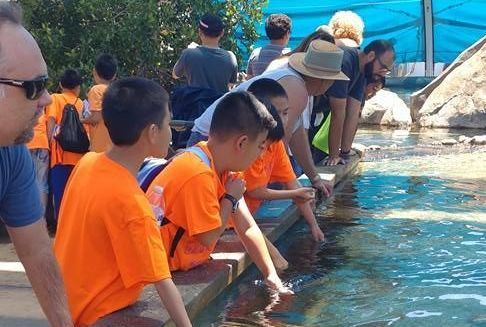 New Light Learning Center - camps and classes in Rosemead, CA