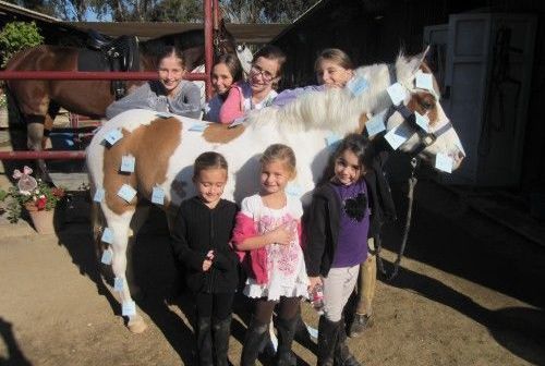 Newport Mesa Riding Center - camps in Costa Mesa, CA
